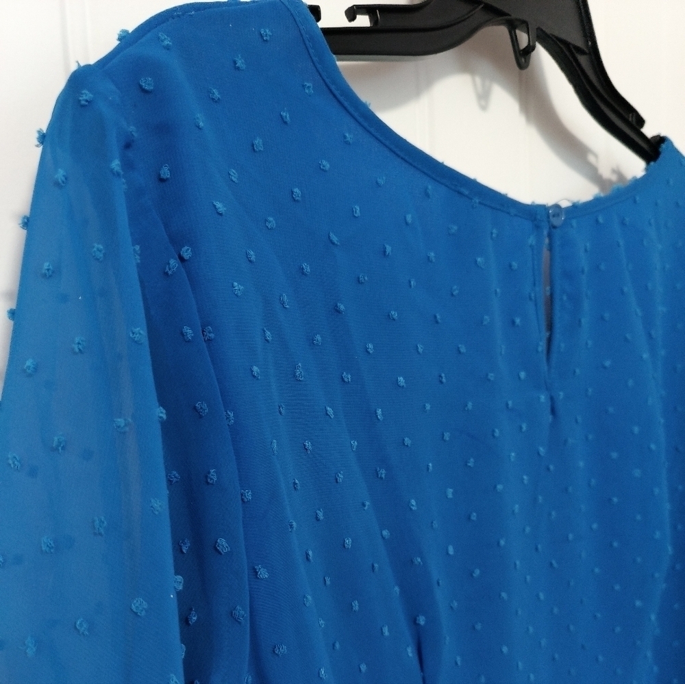 New Dotted Swiss Blue Dress / 2X / Price Dropped! - Picture 2 of 8